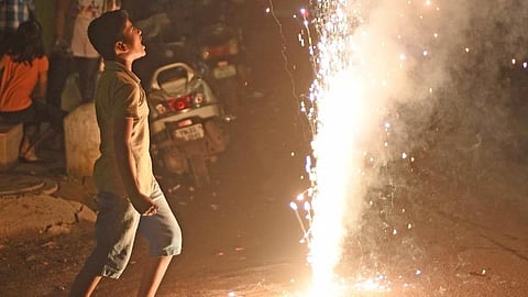 Referring to a report of the CSE, the top court noted it was evident from the data that Diwali in 2024 was warmer and pollution level was higher than in 2022 and 2023.