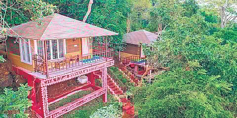 Odisha to share biodiversity wisdom with eco-tourists, trains guides