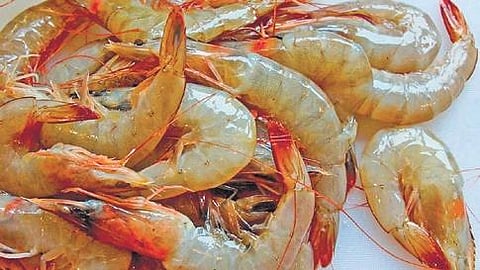 For representational purposes