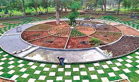 The 1.5 metre wide walkway with acupressure incorporated into it within the premises of Indira Park in Hyderabad