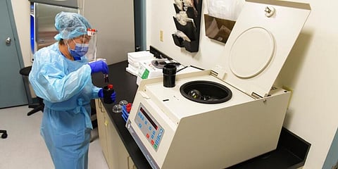 A lab tech processing blood samples in the specimen processing lab. (Photo | AP)