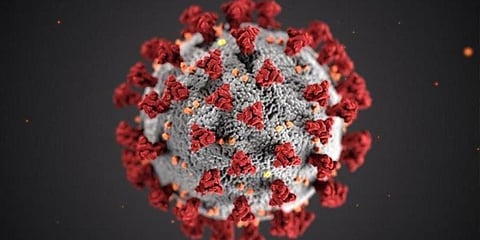 Representational picture of coronavirus (Photo | AP)