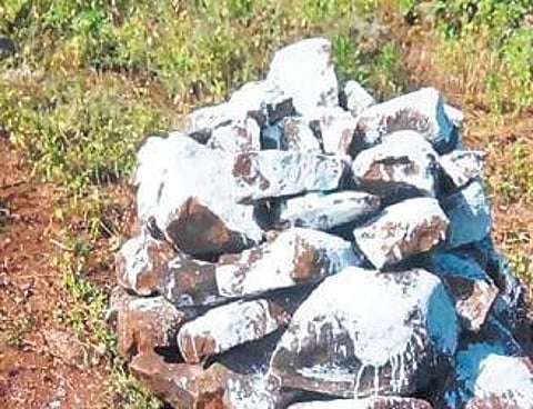 Stones painted in white placed on Odisha side of the border by villagers from Andhra Pradesh. (Photo | EPS)