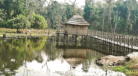 A bamboo cottage at the Kawal Wildlife Sanctuary