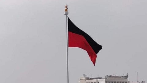 Image used for representation