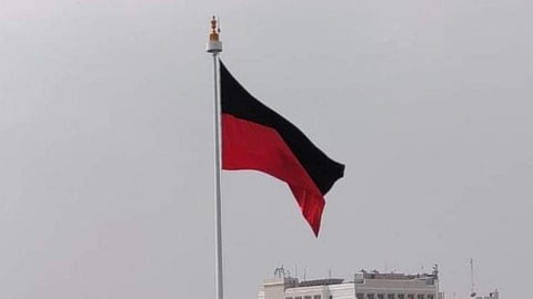 DMK flag used for representative purposes only