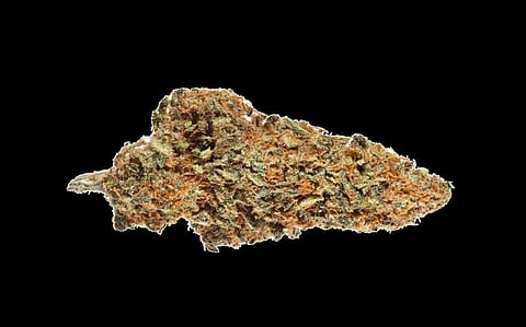 Idukki Gold that isn’t