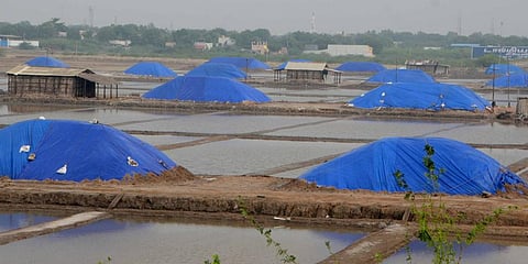 : The onset of northeast monsoon has resulted in the flooding of the lion’s share of salt pans in Thoothukudi. (Photo | EPS)