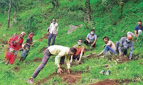 Chandan Nayal (R) has planted over 1 lakh trees out of which 10,000 survive in state’s hill areas. (Photo | EPS)