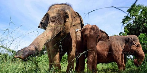 For representational purposes