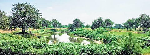 Senior officials of the ministry at the project site on Thursday. (Photo | EPS)