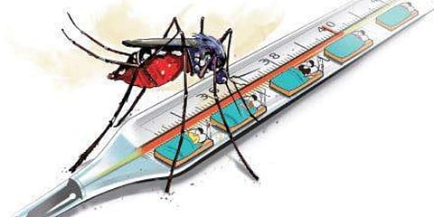 For representational purposes (Express Illustrations)