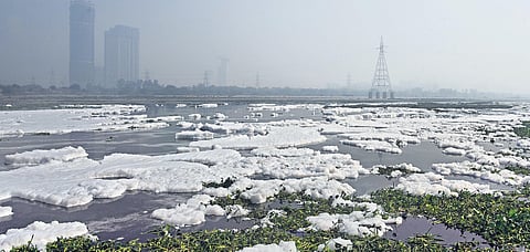The lack of a minimum ecological flow also means an accumulation of other pollutants in river Yamuna. (Photo | Parveen Negi, EPS)