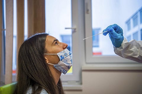 A medical student takes a nose swab sample for the coronavirus. (Photo | AP)