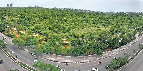 An aerial view of KBR National Park at Jubliee Hills in Hyderabad. (Photo| EPS)