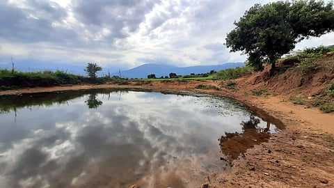 According to Karuppusamy's son, K Nanda Kumar, the wild animals are drawn to the grove by the pond.