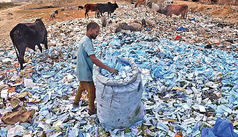 A ragpicker collects disposed masks. Image used for representational purposes only.