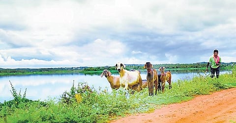 Alert citizens seize truck with effluents