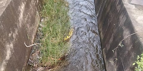 For the past two weeks, water has been gushing out from Chitlapakkam lake’s damaged sluice gate. (Photo | EPS)