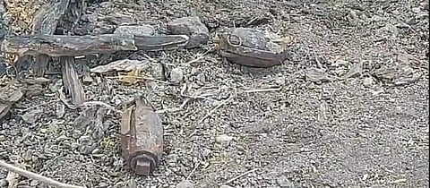 Grenades found in the hollow of a tree at Dumala village in Rajanna-Sircilla district on Saturday.