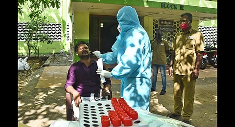 Greater Chennai Corporation staff collecting swab samples from students of Anna University. (Photo | Ashwin Prasath, EPS)