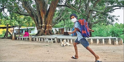 The Vidyagama programme will resume again from January 15. (Photo | EPS)