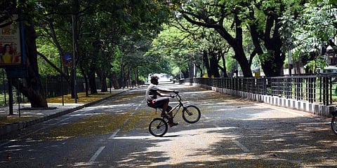 A boy rides bicycle in a empty Cubbon Park road. (Photo | Nagaraja Gadekal, EPS)