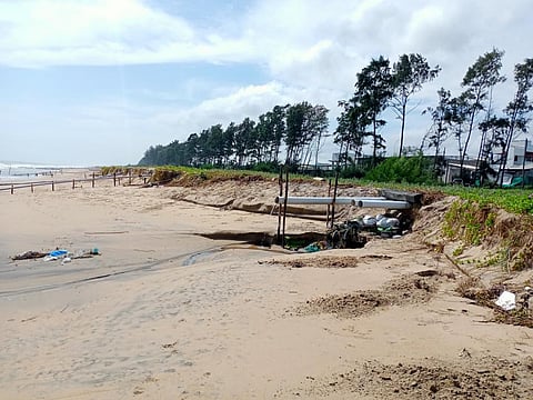 Unauthorised constructions and illegal discharge of untreated effluent by hatcheries all along the ECR in Chengalpet and Villupuram districts. (Photo | Special Arrangement)