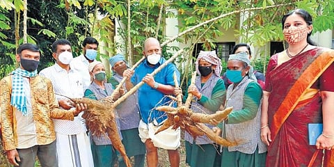 Kerala Agriculture Minister VS Sunil Kumar with the harvest alongside officers from Aluva seed farm. (Photo | EPS)