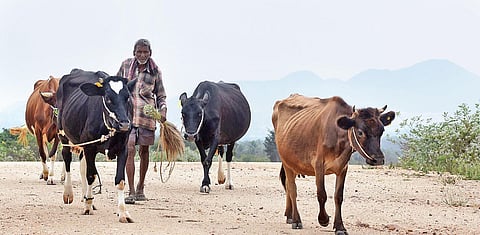 Image used for representational purpose only.