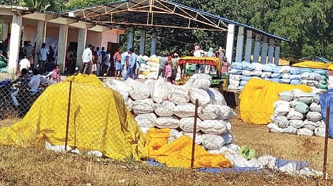 Stacks of Paddy bags lying in the open