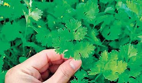 For representational purposes