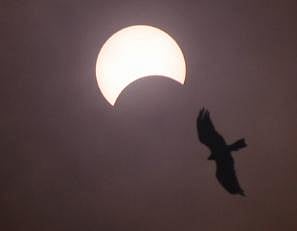 This year, there were two solar and four lunar eclipses. (Representational Photo | Udayshankar S, EPS)
