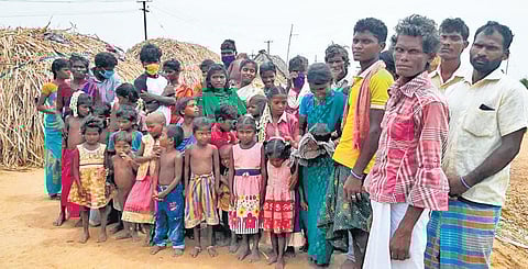 Families belonging to the Irula community in Pudukottai | (Photo | Special arrangement)
