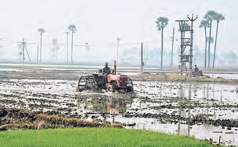 A farmer ploughing his field at Mallavaram in East Godavari