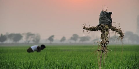 For representational purpose. (Photo | Pexels)