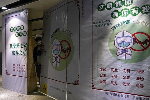 A worker wearing a mask peeps out behind construction barrier with a notice depicting a bat and advocating for people not to eat wild animals. (Photo| AP)