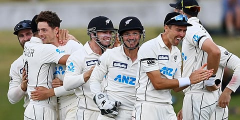 New Zealand players celebrate after defeating Pakistan by 101 runs on the final day of the first Test at Bay Oval. (Photo | AP)