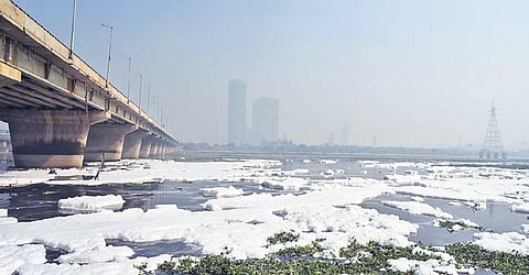 Yamuna pollution rises due to growing ammonia concentration, may affect water supply