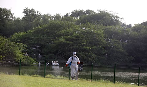 A worker sprays medicine inside a zoo. (Photo | EPS)