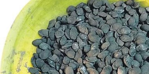 NTPC sees wealth in wasted fly ash