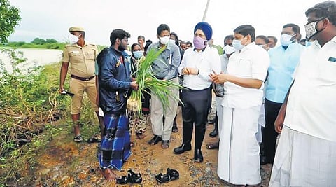 Monitoring officer Gagandeep Singh Bedi, along with Industries Minister MC Sampath, inspecting crop damage in Cuddalore district on Sunday | Express