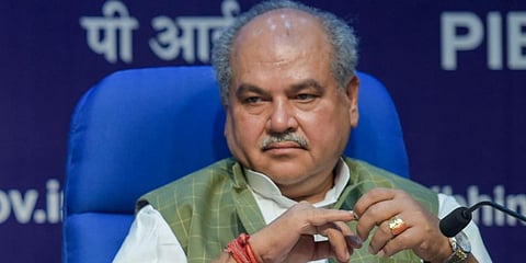 Union Agriculture Minister Narendra Singh Tomar (Photo | PTI)