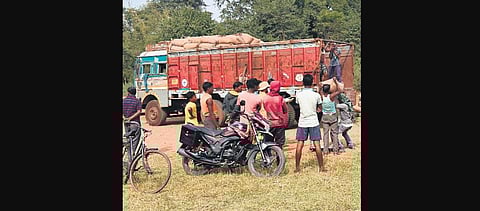 Maize being loaded on trucks for supply to Japfa Comfeed in Kharagpur. (Photo | EPS)
