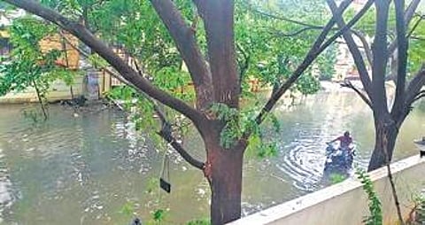 A scene from the waterlogged street in Ashok Nagar 18th avenue, in Chennai on Monday | Express