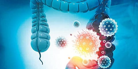 It’s all in the gut