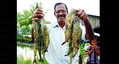 Image for representational purpose only. ( File | EPS)