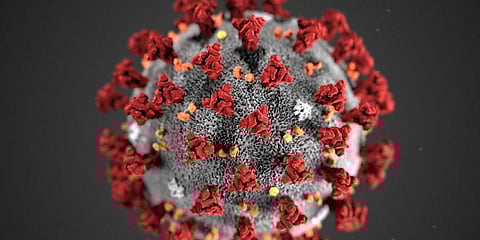 Coronavirus (Photo | AP)