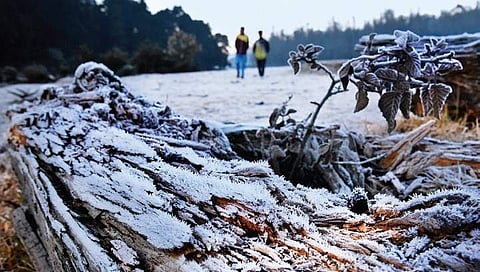 Tamil Nadu is leader in tourism industry: Minister