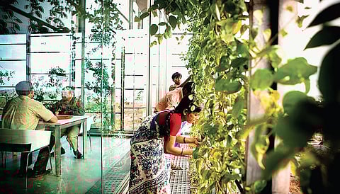 KMC Coporate Office at Cybercity in Hyderabad that RMA Architects designed with a hydroponic facade